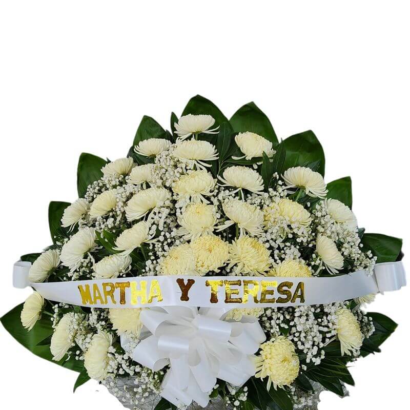 Arreglo fúnebre en abanico con crisantemos y follaje perla, entrega rápida en Cali