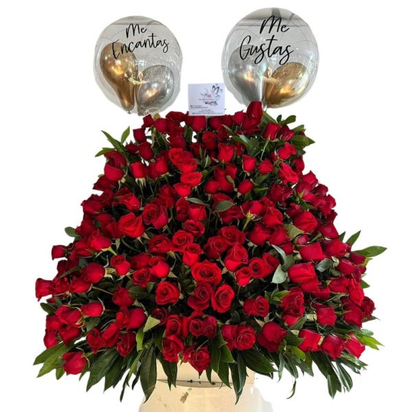 Arreglo semiredondo con 150 rosas rojas y globos burbuja personalizados