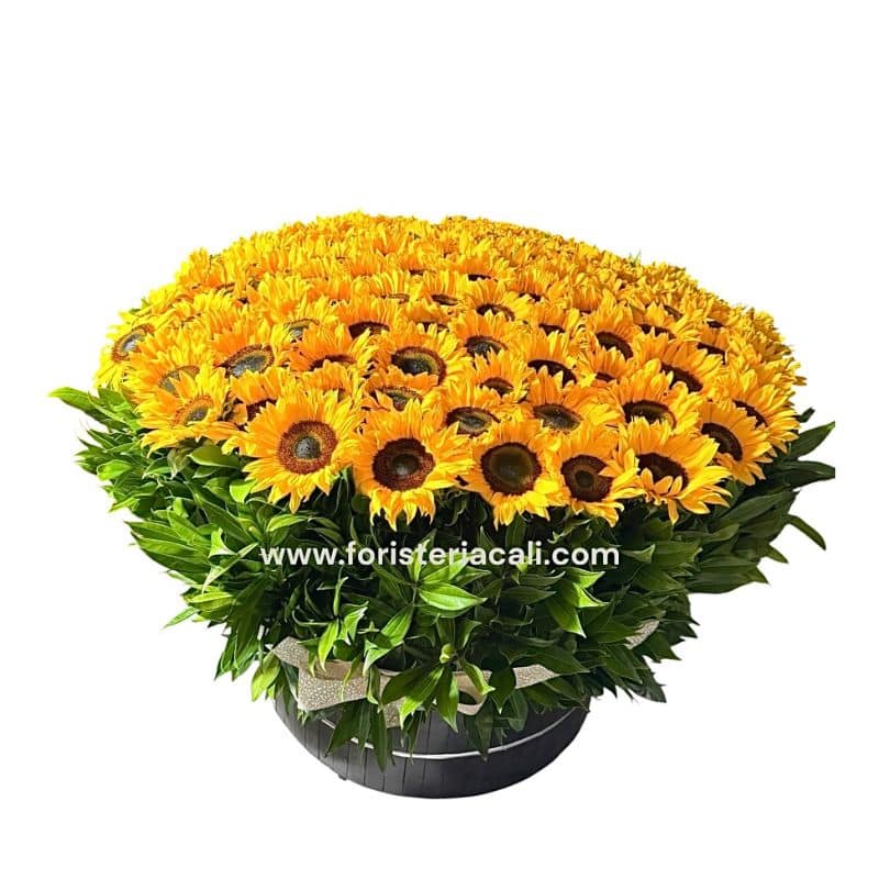 Arreglo Gigante en Cilindro con Girasoles